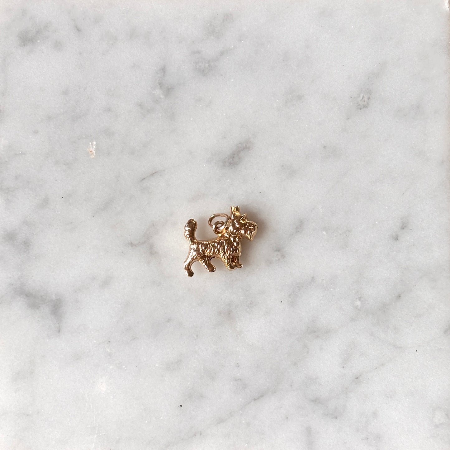 Terrier Dog Charm