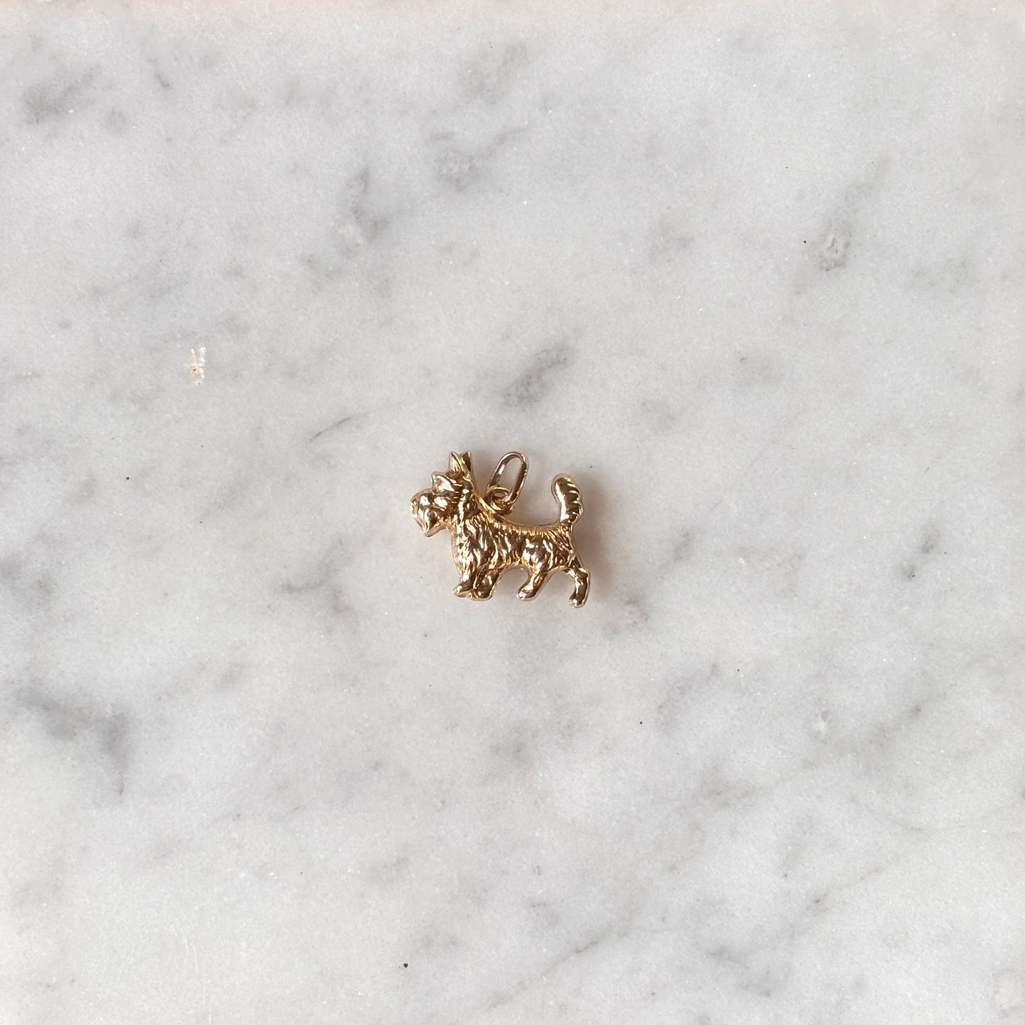 Terrier Dog Charm