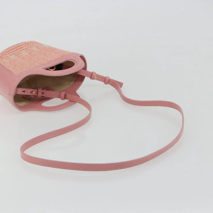 Marni Tropicalia Micro Raffia Shoulder Bag