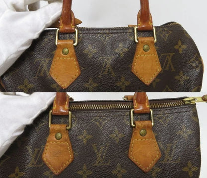 Louis Vuitton Speedy 25