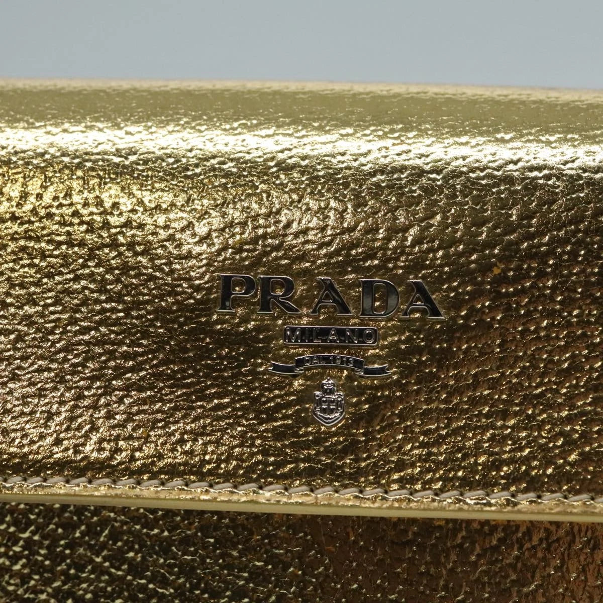 Prada Pouch/Clutch