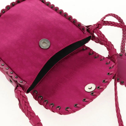 Christian Dior Trotter Canvas Shoulder Bag